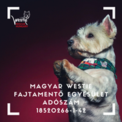 Westie Rescue Hungary