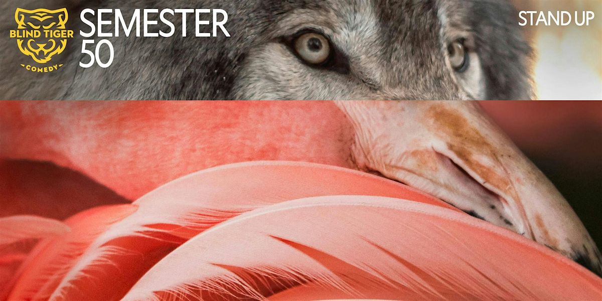 Stand Up Taster with Sasha Sunday May 17