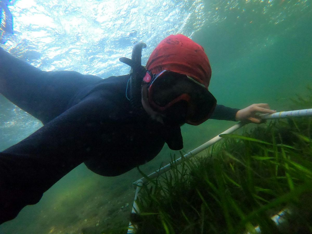 Seagrass Habitat Restoration Workshop