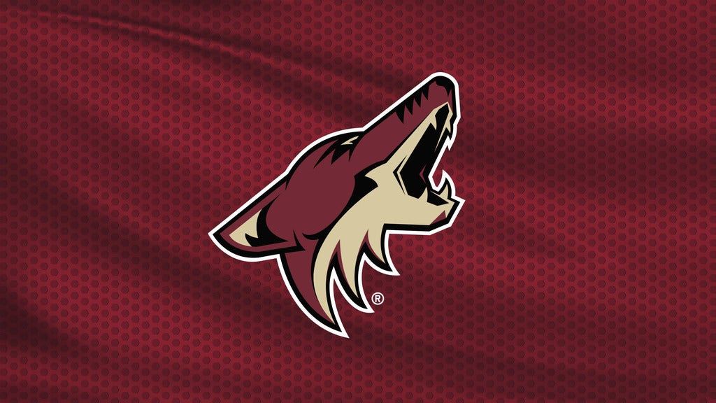Arizona Coyotes vs. Washington Capitals 