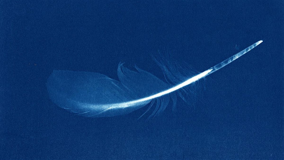 Introduction to Cyanotype