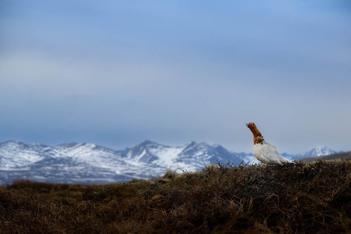 Rock Done Right Tour Stop