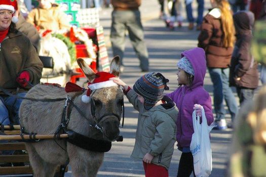Lieper Fork Christmas Parade 2022 Leipers Fork Christmas Parade | Leiper's Fork Country, Franklin, Tn |  December 11, 2021