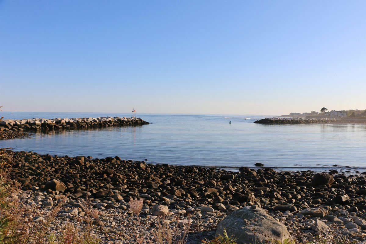 Science on Tap: Gulf of Maine Checkup