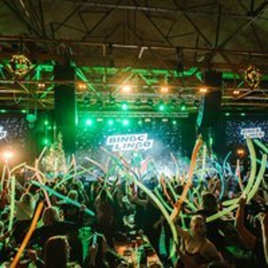 Bingo Lingo - Document