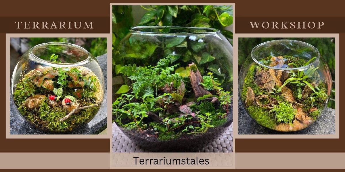 Terrarium Workshop