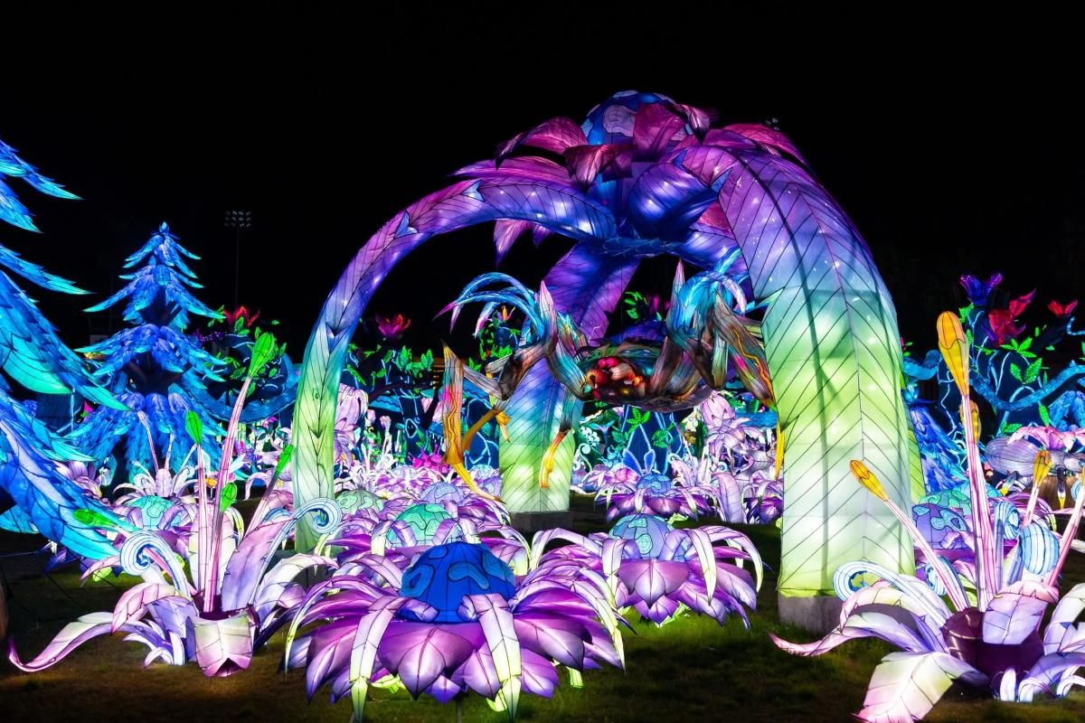 Tianyu Lights Festival - Grand Prairie