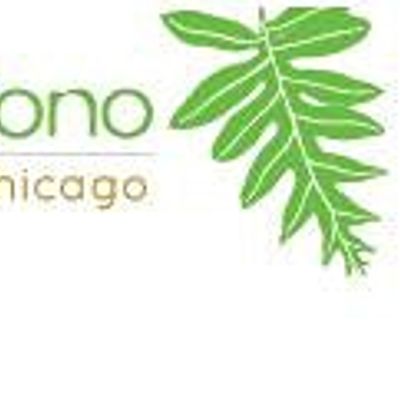 Halau i Ka Pono - The Hula School of Chicago