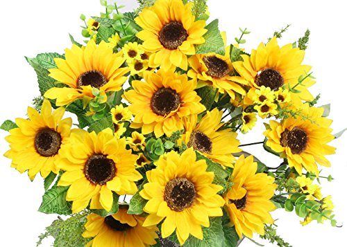 Sunflower Cluster of Dog Shows at Kansas State Fairgrounds