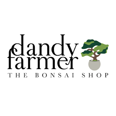 The Bonsai Shop by Dandy Farmer