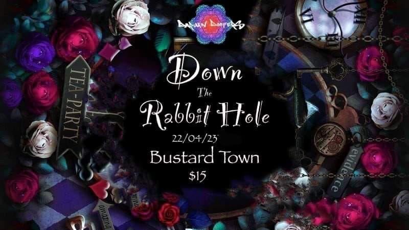 down-the-rabbit-hole-after-party-15-knuckey-st-darwin-city-nt-0800