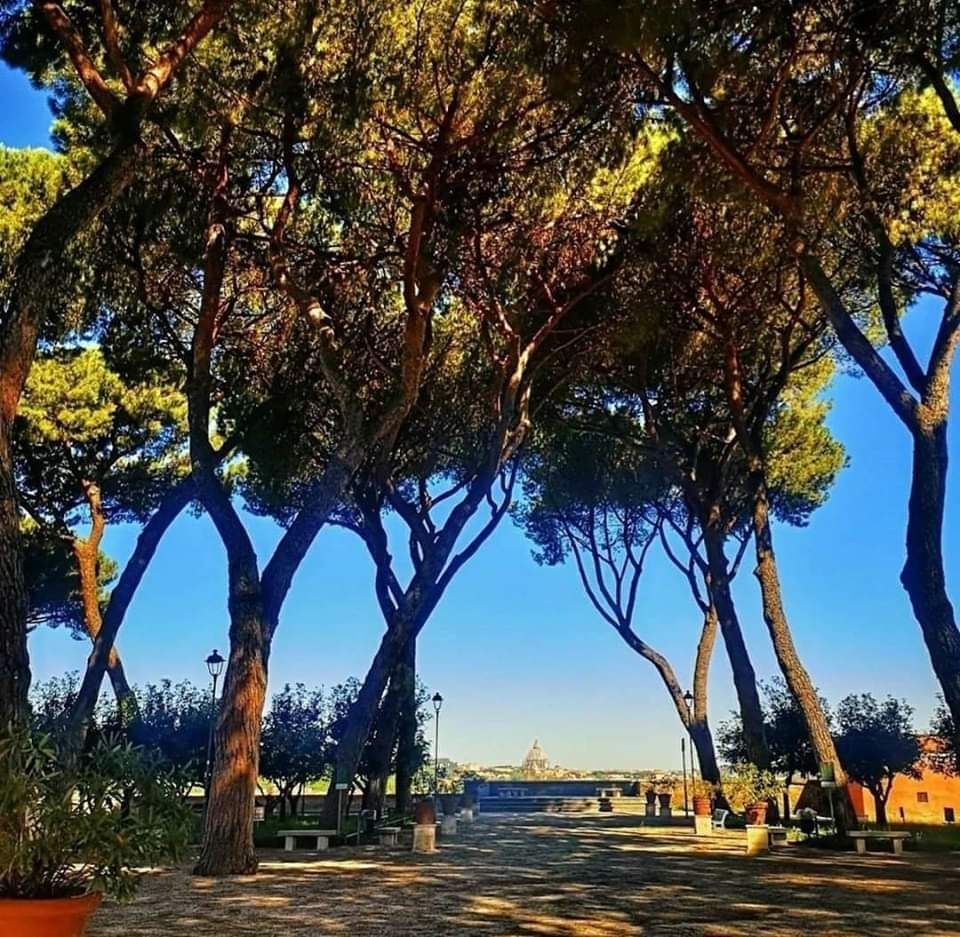 Il Giardino degli aranci allombra dei Templari Bellezze di Roma, Rome