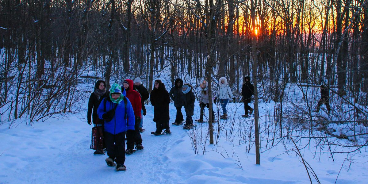 Showshoe Excursion: By the Glow of the City Lights