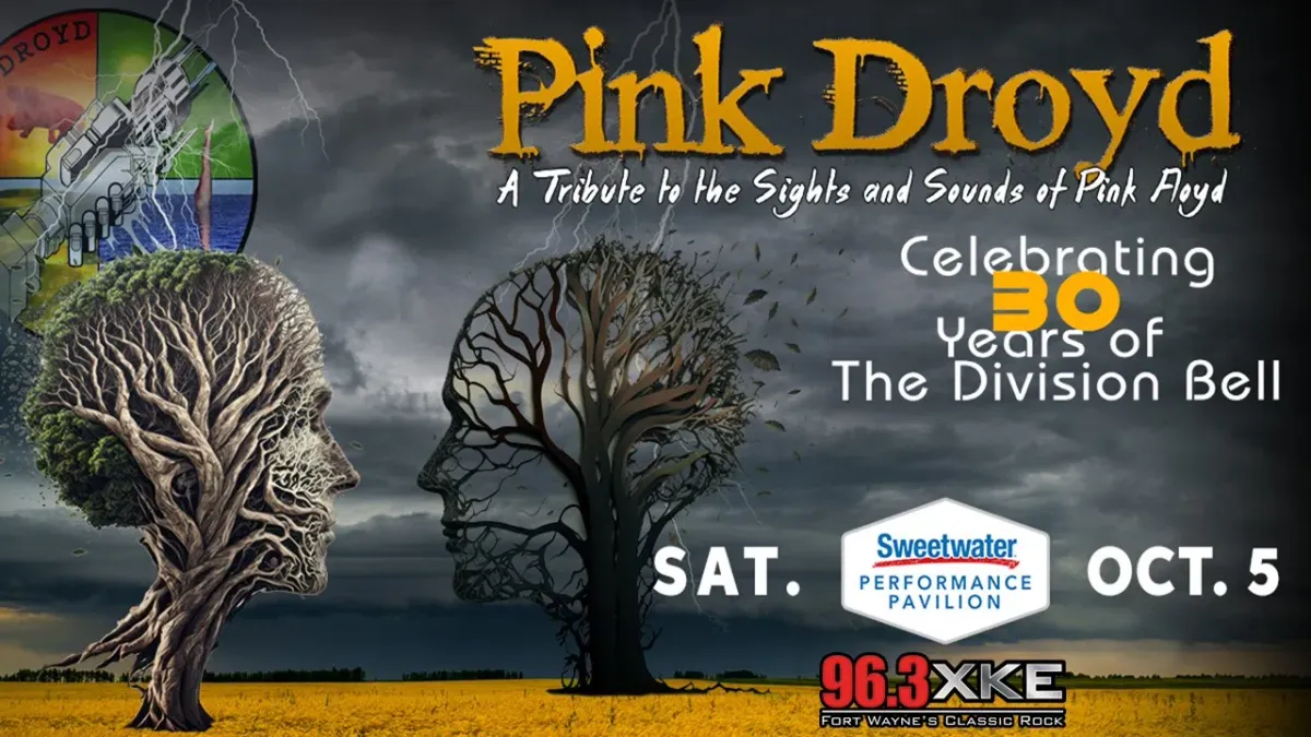 Pink Droyd at Vogue Theatre - IN