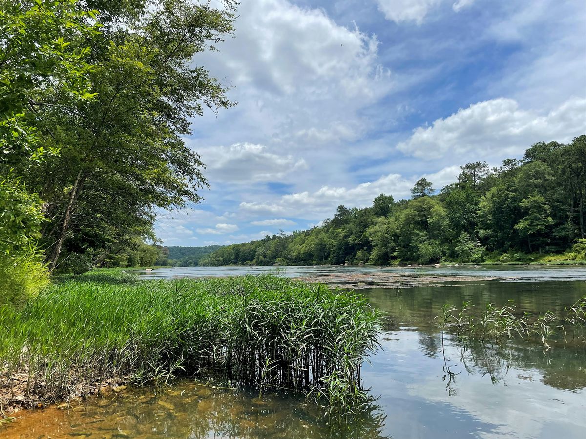 Volunteer Day: River Canebreaks