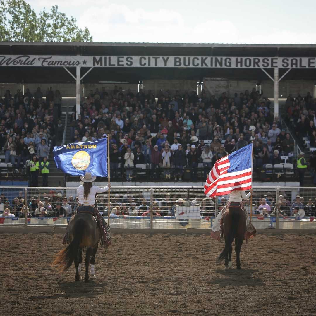 2026 Miles City Bucking Horse Sale - Saturday at Eastern Montana ...