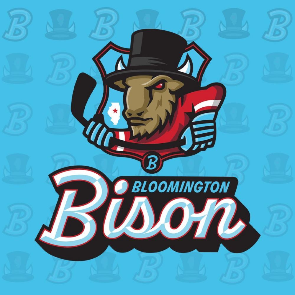 Kalamazoo Wings at Bloomington Bison at Grossinger Motors Arena