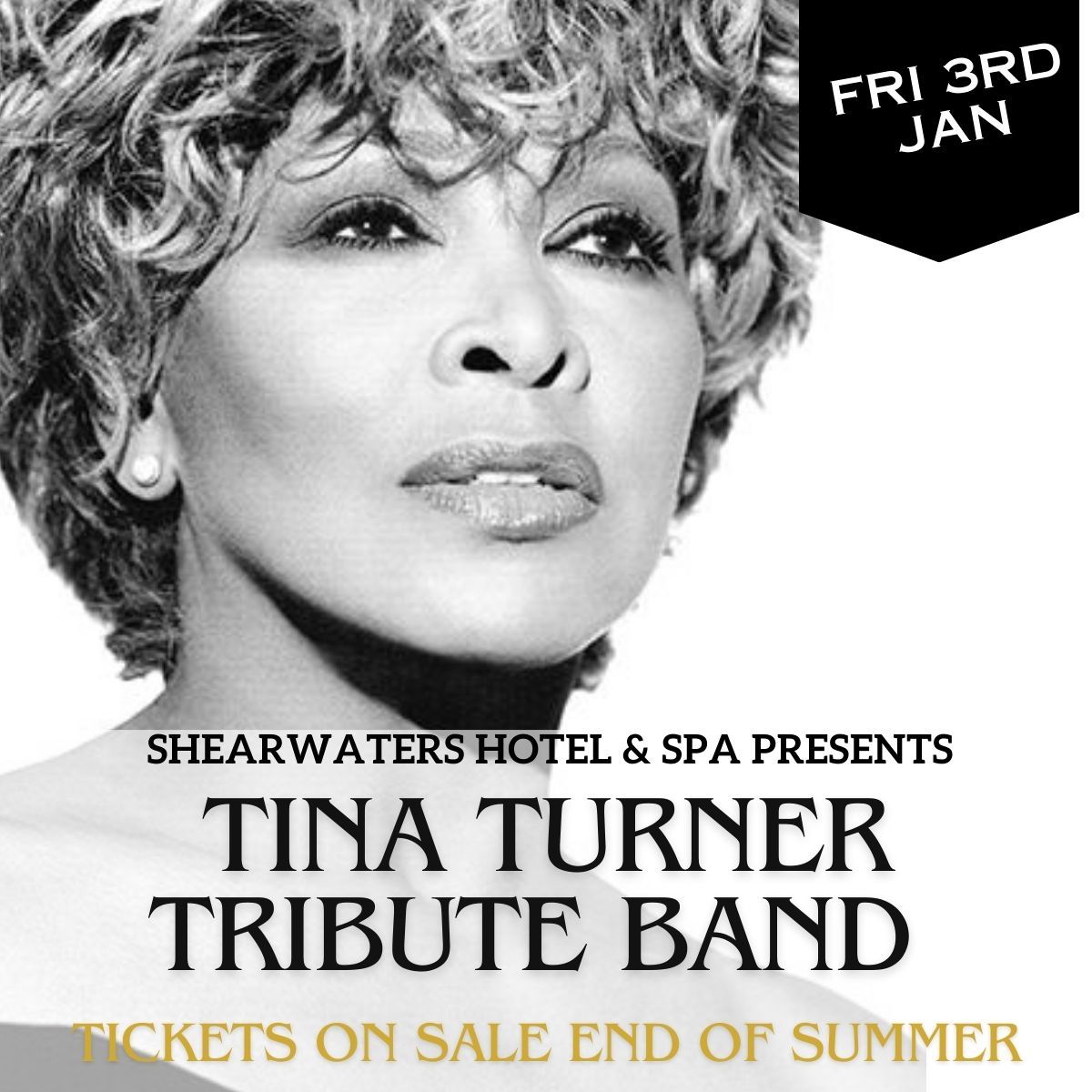 Tina Turner Tribute Shearwater Hotel & Spa, Galway, GY January 3, 2025