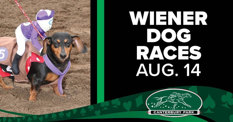 Wiener Dog Race Day Canterbury Park, Prior Lake, MN August 14, 2022