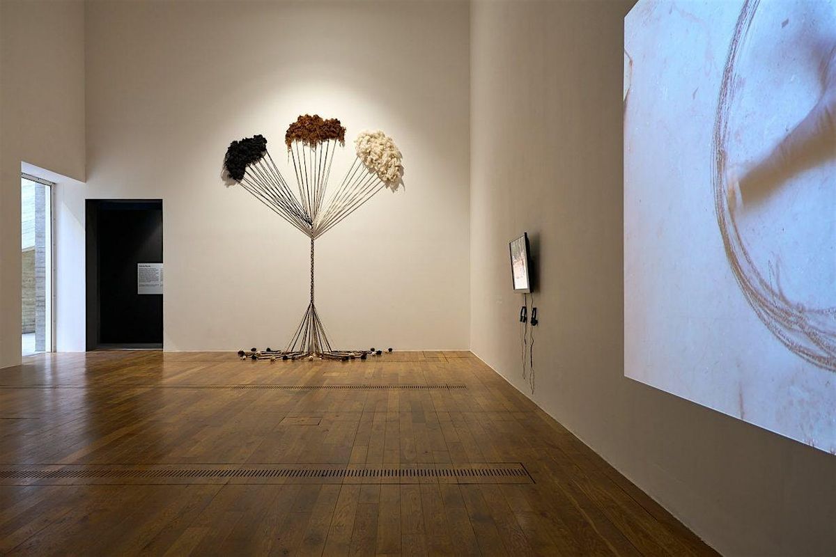 AM11: Exhibition tour : Antonio Paucar - Welsh Language tour