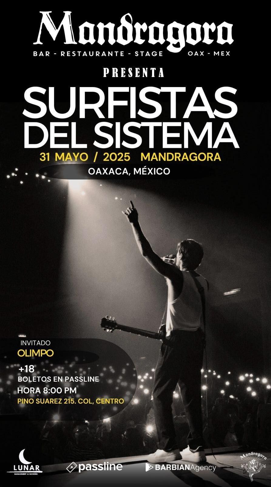 Surfistas del Sistema