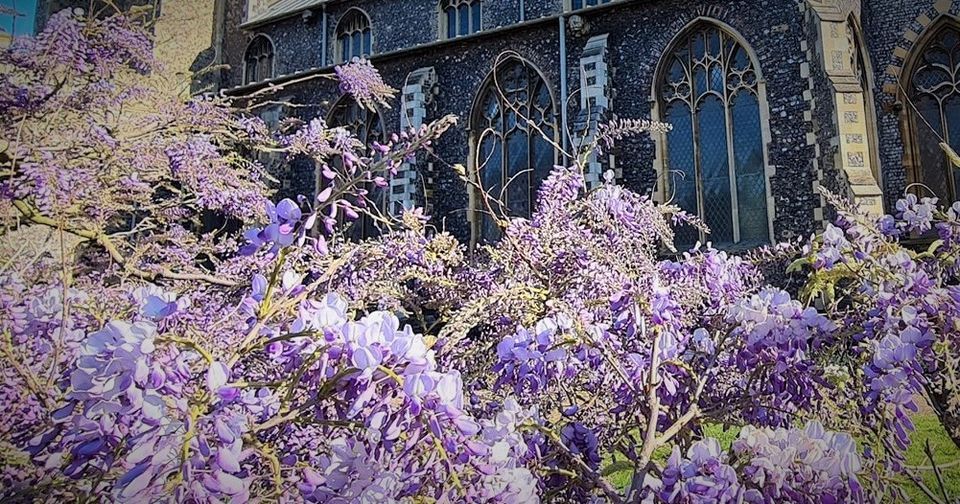 Wisteria Concert May 2023