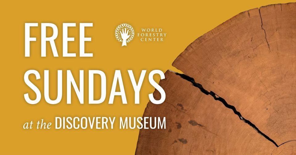 Free Sundays at the Discovery Museum