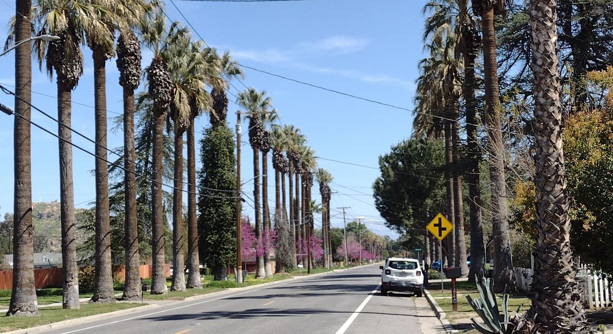 AdoptAStreet, Grand Avenue service