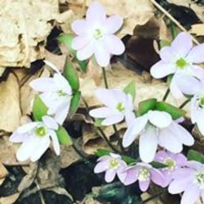 Prairie Flower Children's Center