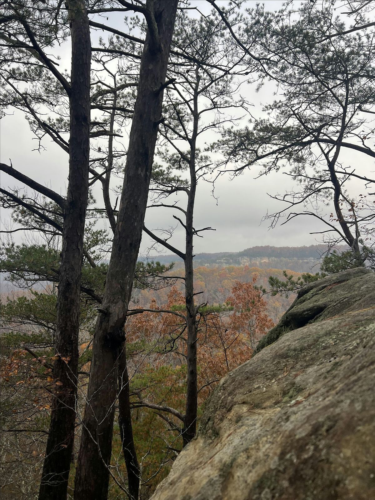 WWE Kentucky- New Years Day Hike