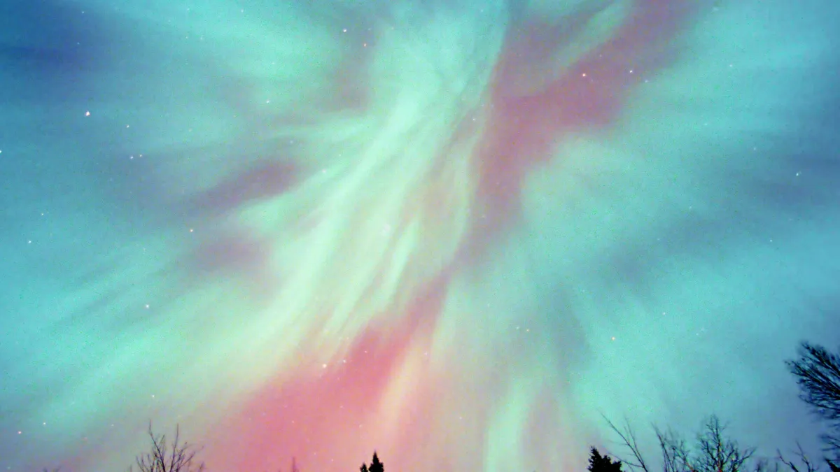 The Accidentals, Kaboom Studio Orchestra in Charlevoix