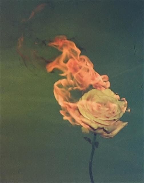 Desire, Dependency, and Dismantling the Patriarchy