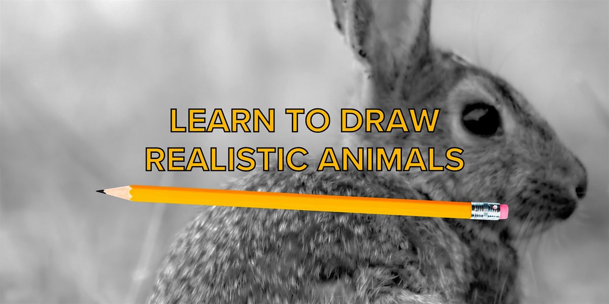 Class Rabbit Drawing Drawing Animals Class: Rabbit at Steph Holmes Artist Studio, York on ...