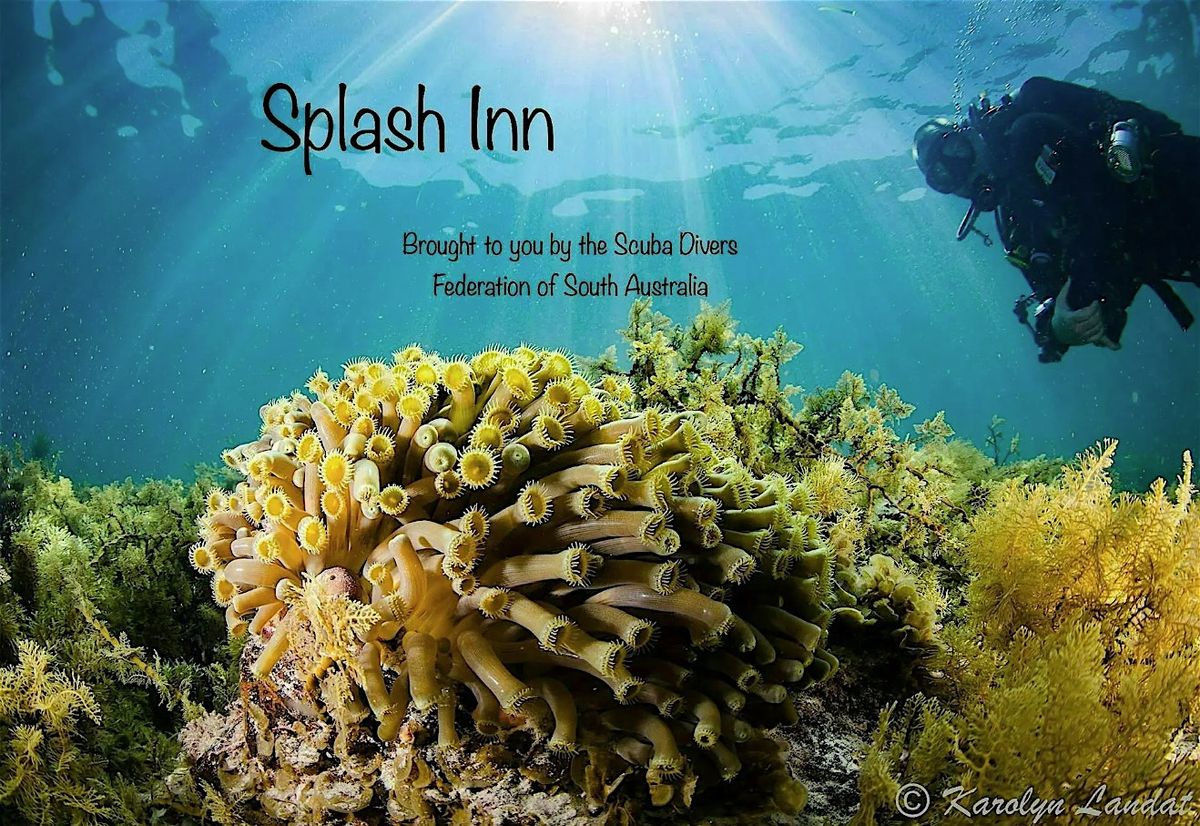 Splash Inn 008 Shipwrecks of SA with Steve Saville