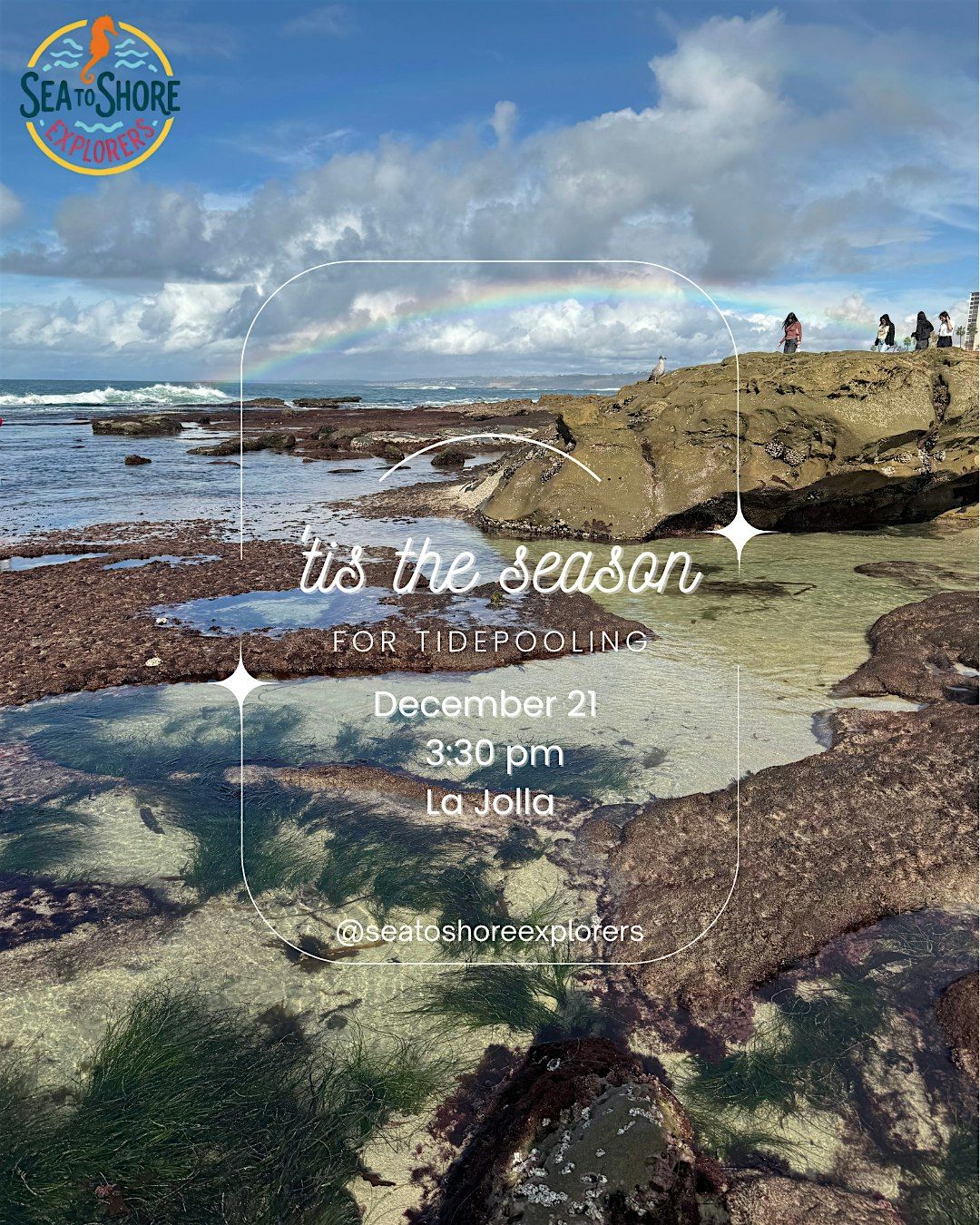 Tis the Season for Tidepooling