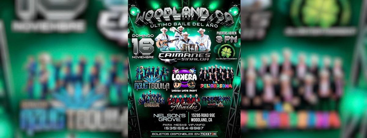 CAIMANES DE SINALOA, AZUL TEQUILA & MAS 