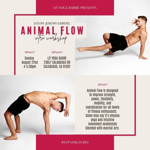 ANIMAL FLOW - The Basics