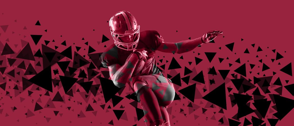 Seattle Seahawks vs. Arizona Cardinals