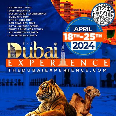 THE DUBAI EXPERIENCE