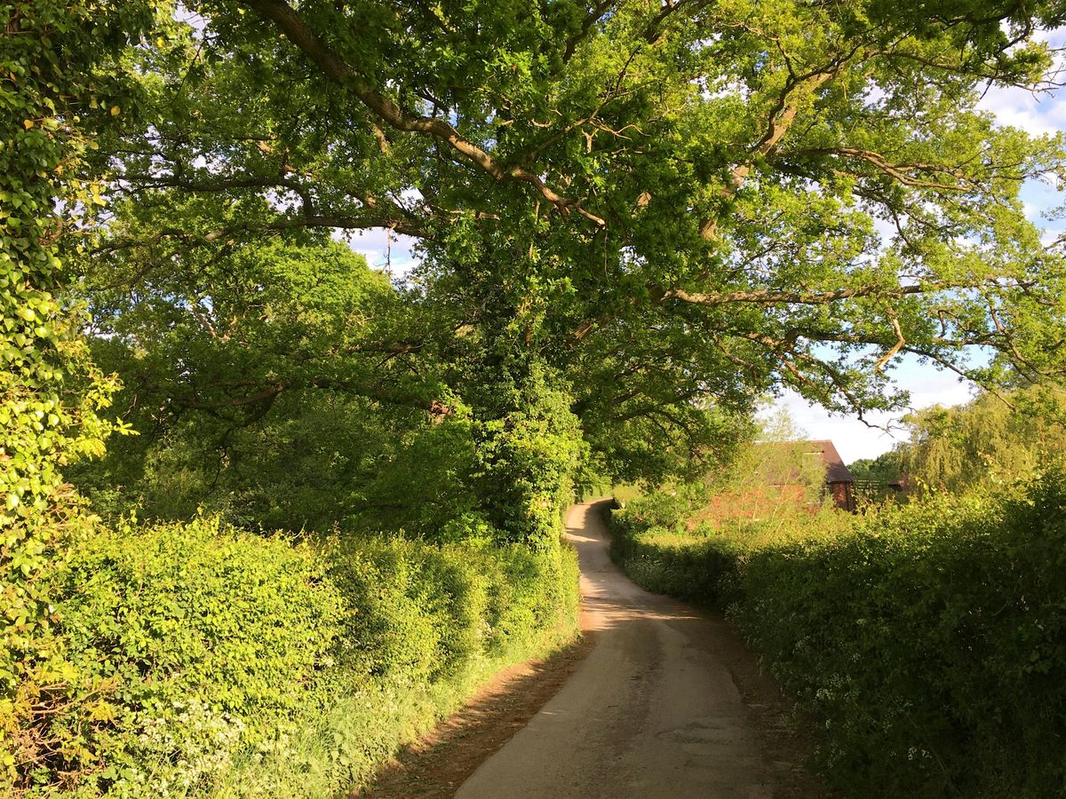 Walk Tonbridge Club: Mud Free Winter Hike