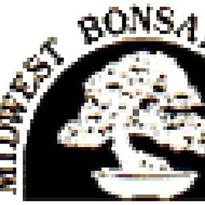 Midwest Bonsai Society