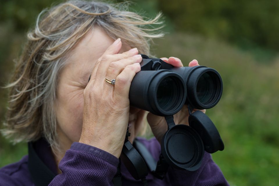 In Focus | Hauxley Wildlife Discovery Centre and Druridge Bay Nature ...