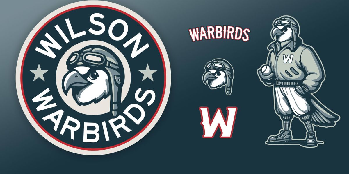 Delmarva Shorebirds vs. Wilson Warbirds