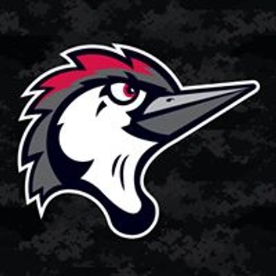 Fayetteville Woodpeckers