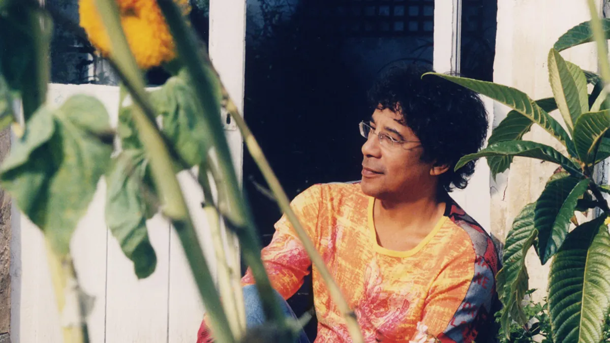 Laurent Voulzy in Paris