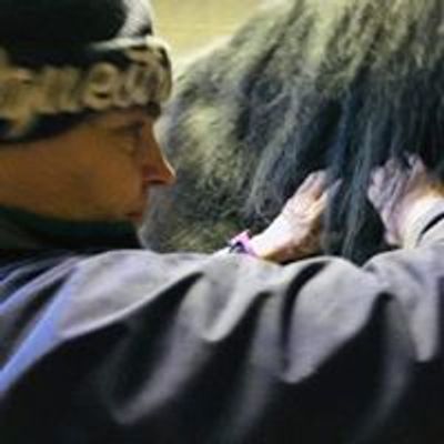 Sonia equine sports massage therapist