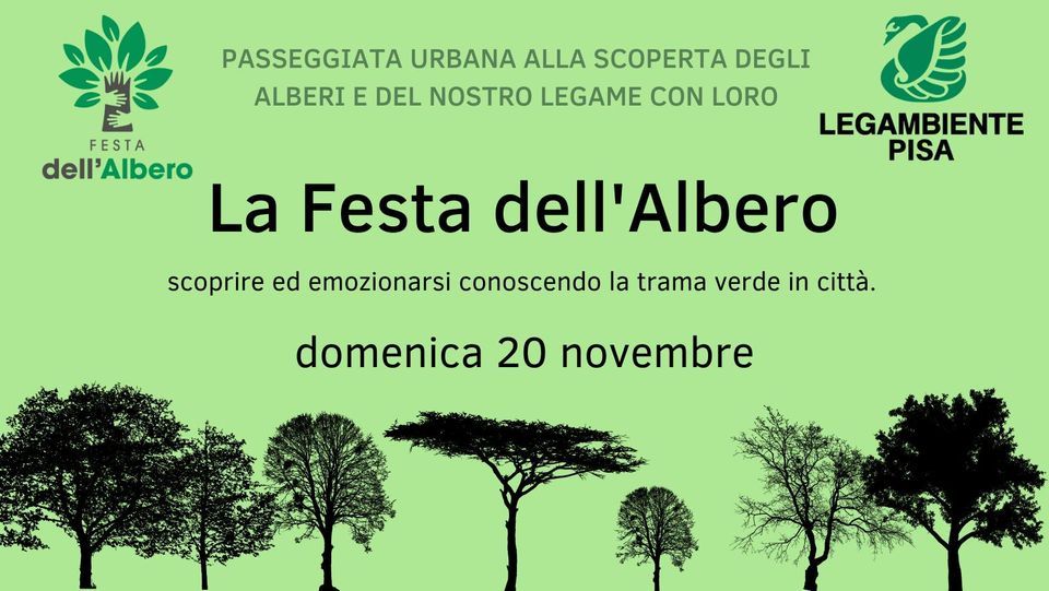 La Festa DellAlbero Passeggiata Urbana Alla Scoperta Della Trama Verde la-festa-dellalbero-passeggiata-urbana-alla-scoperta-della-trama-verde