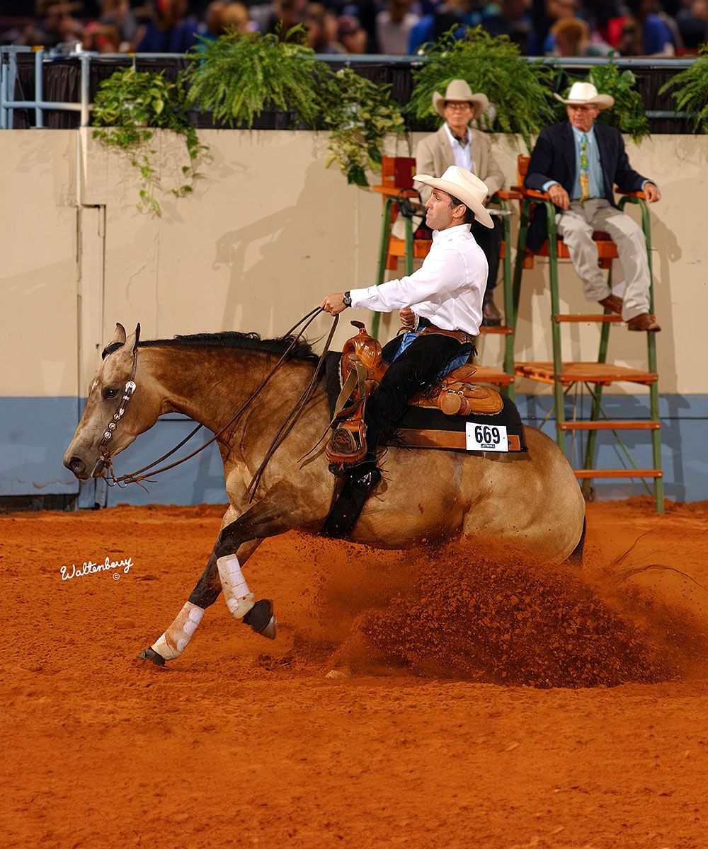 NRHA Reining Horse Futurity