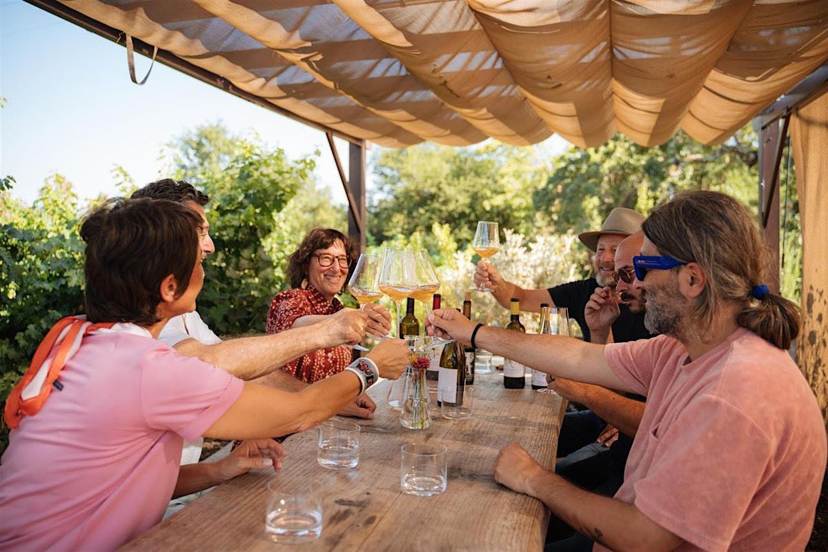 Dalida's Summer Series Wine Maker's Dinner: Matthiasson Wines