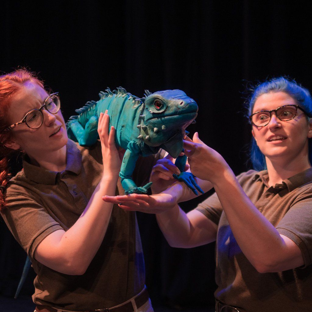 The Zoo that Comes to You